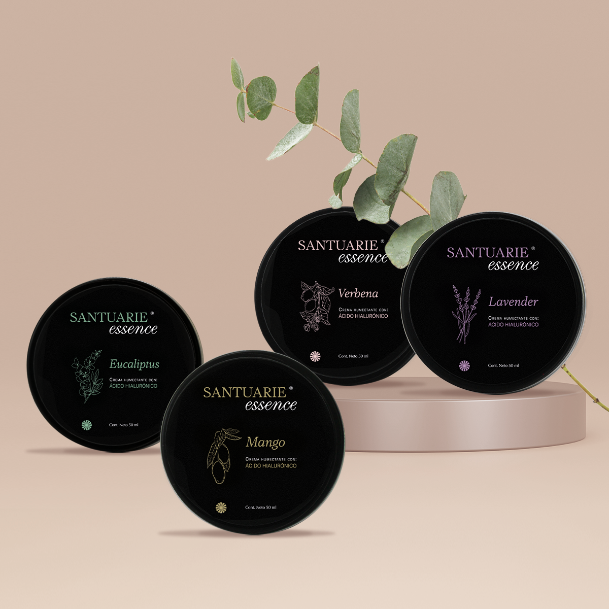 BODY LOTION KIT MINIS