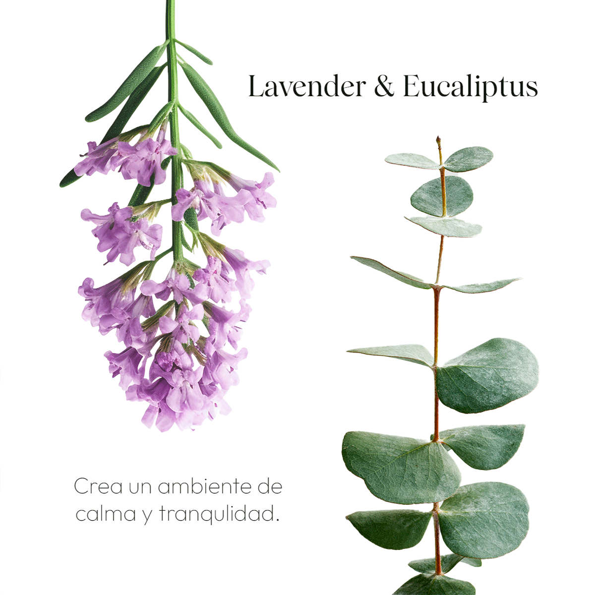 PILLOW MIST LAVENDER & EUCALIPTUS